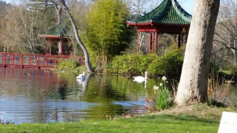 Chinese gardens at Chateau Montelena 